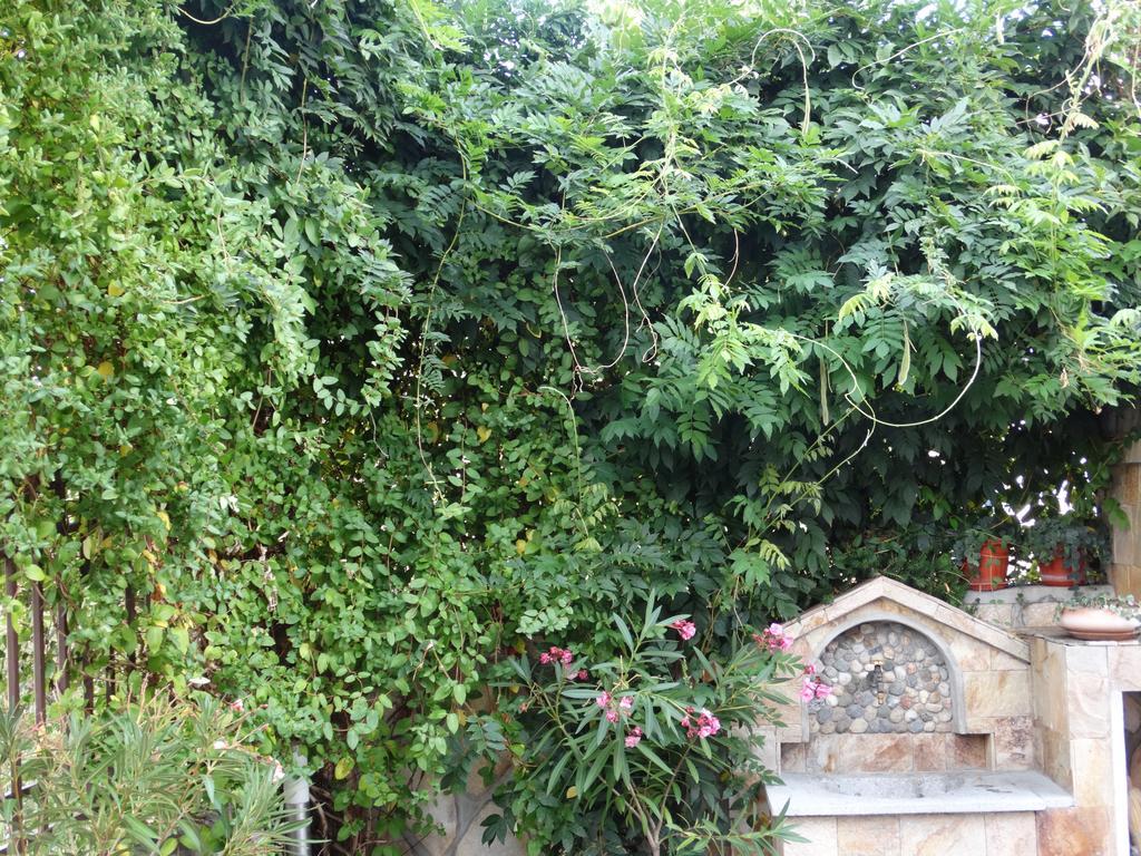 Guest House Ivel Sapareva Banya Ngoại thất bức ảnh