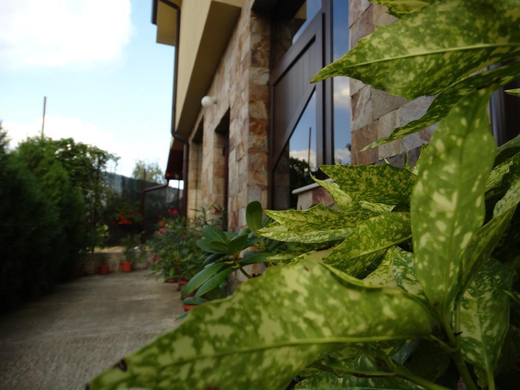 Guest House Ivel Sapareva Banya Ngoại thất bức ảnh