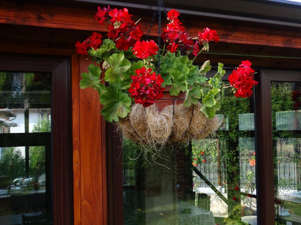 Guest House Ivel Sapareva Banya Ngoại thất bức ảnh